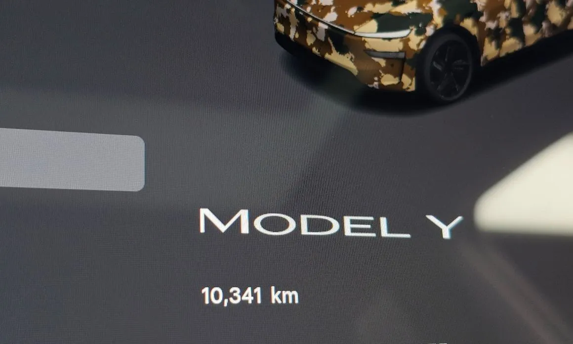 Tesla Model Y — фото 4