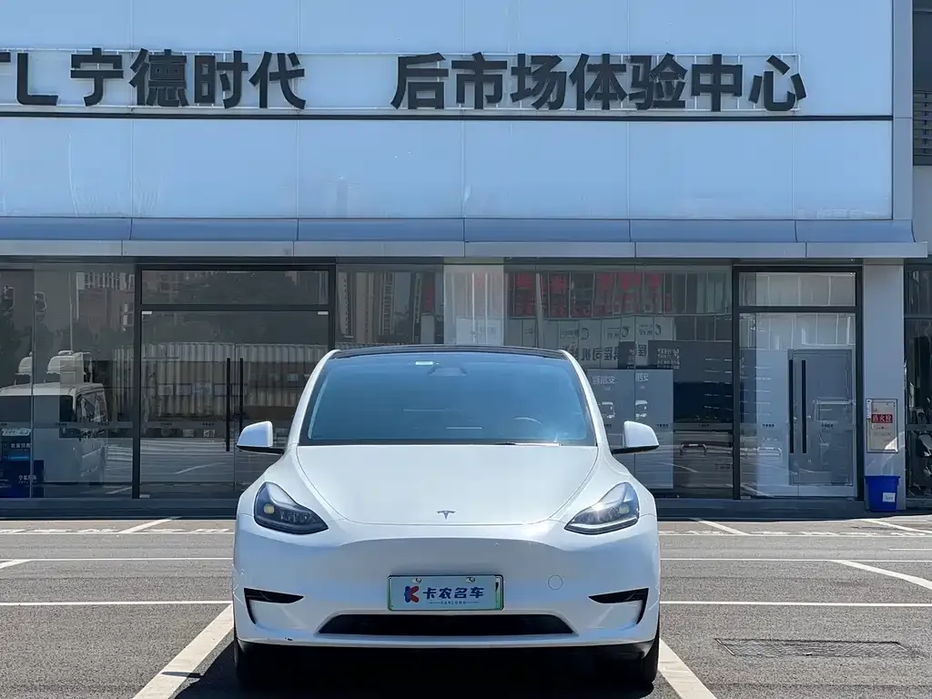 Tesla Model Y — фото 9