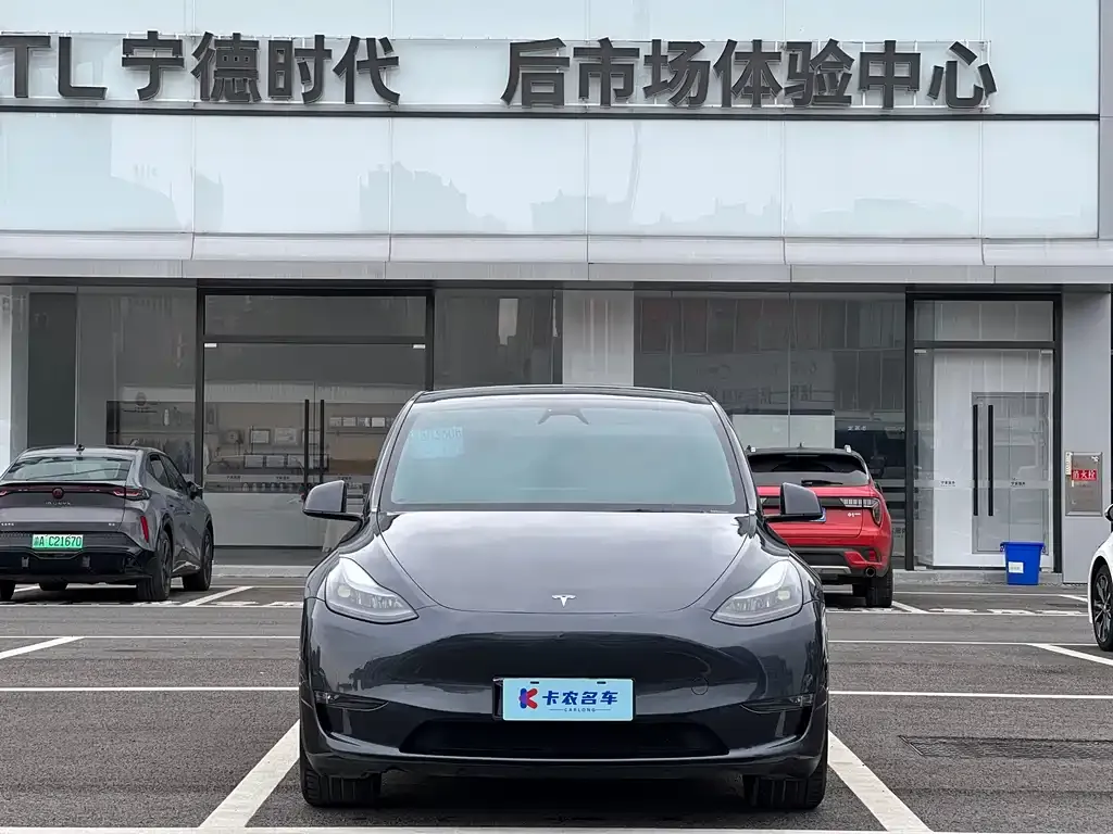 Tesla Model Y — фото 1
