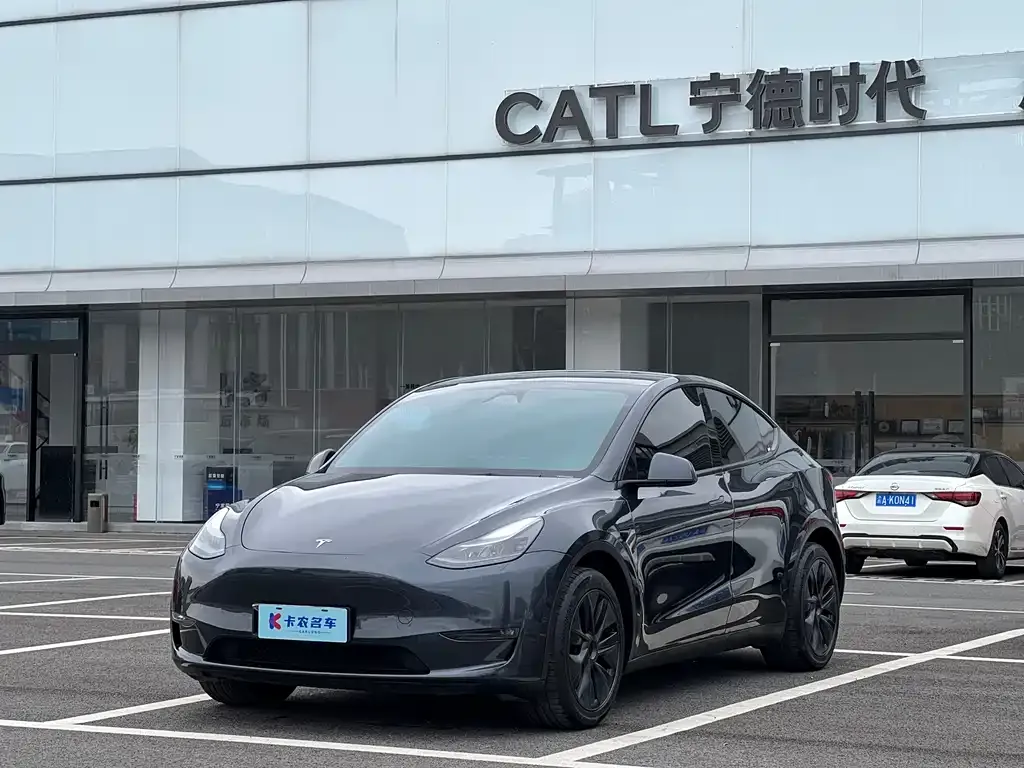 Tesla Model Y — фото 6