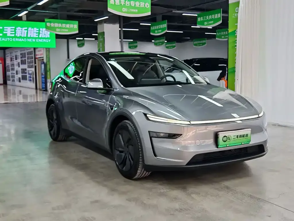 Tesla Model Y — фото 6