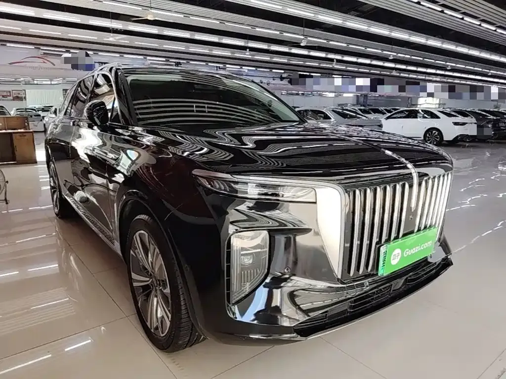 Hongqi E-HS9 — фото 10