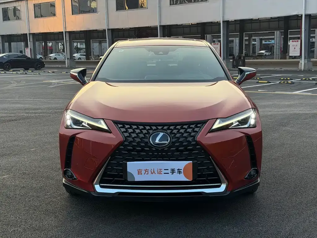 Lexus UX New Energy — фото 9