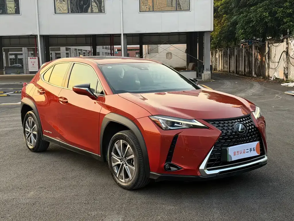 Lexus UX New Energy — фото 5