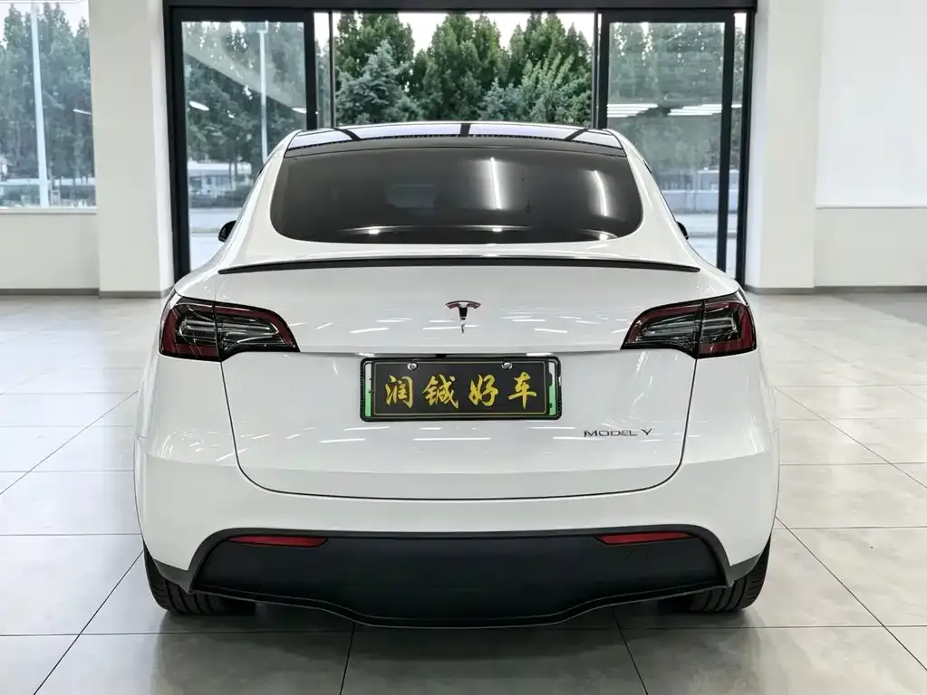Tesla Model Y — фото 9