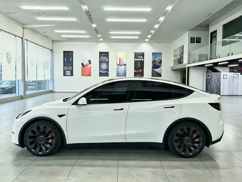 Tesla Model Y — фото 10