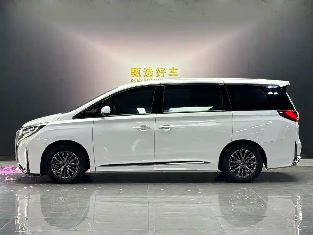 GAC Motor Trumpchi M8 — фото 3
