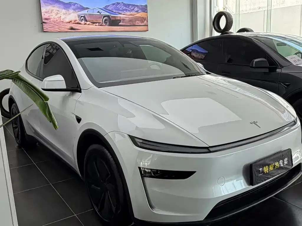 Tesla Model Y — фото 7