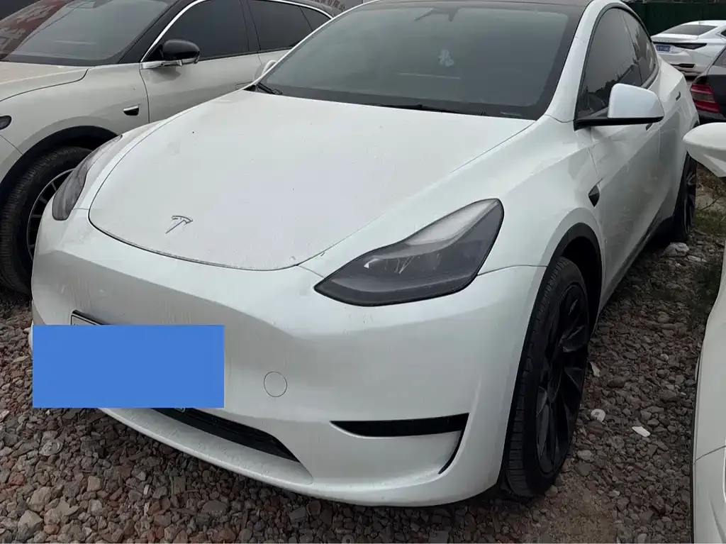Tesla Model Y — фото 1