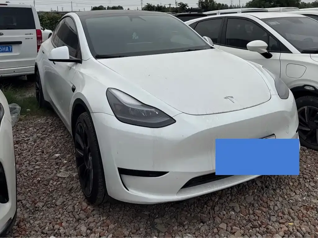 Tesla Model Y — фото 5