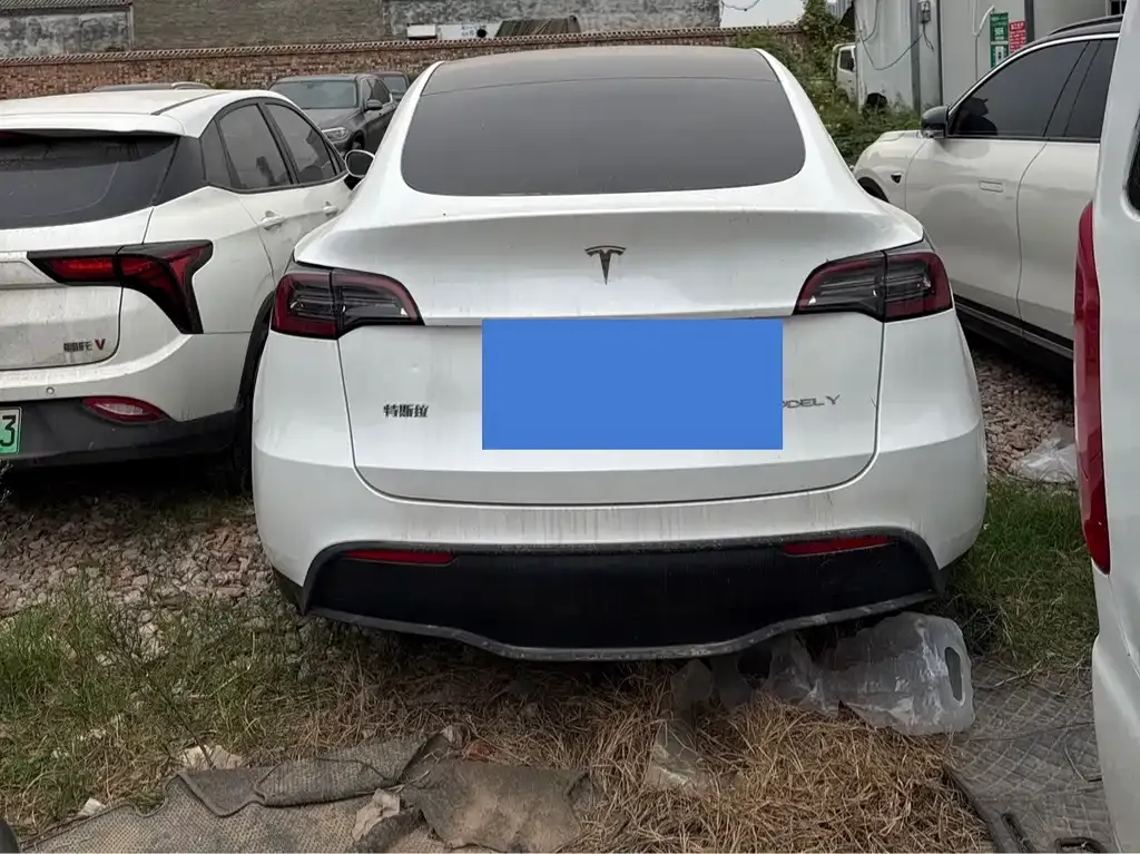 Tesla Model Y — фото 8