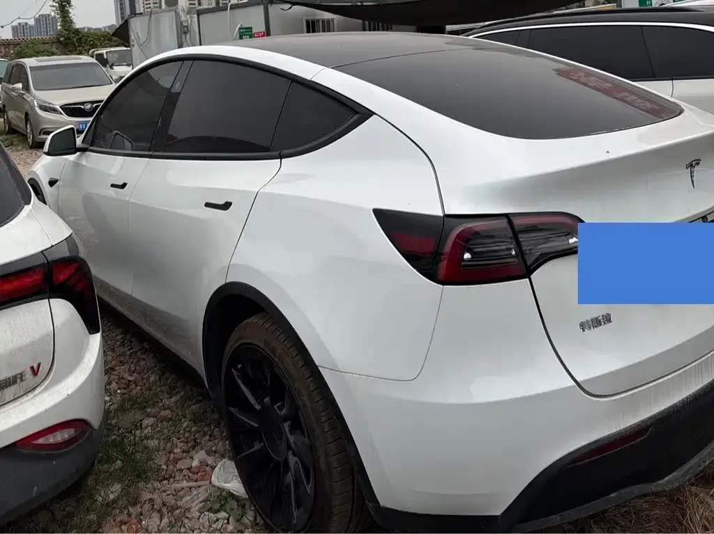 Tesla Model Y — фото 6