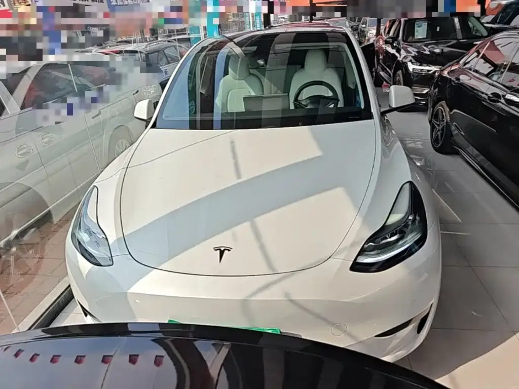 Tesla Model Y — фото 10