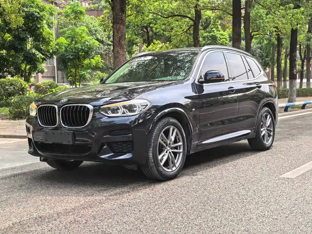 BMW X3 — фото 1