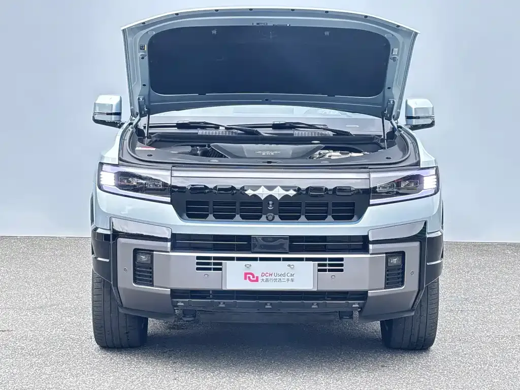 Fang Cheng Bao Leopard 8 — фото 10
