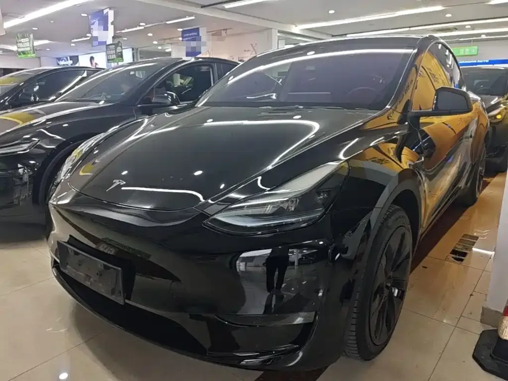 Tesla Model Y — фото 9