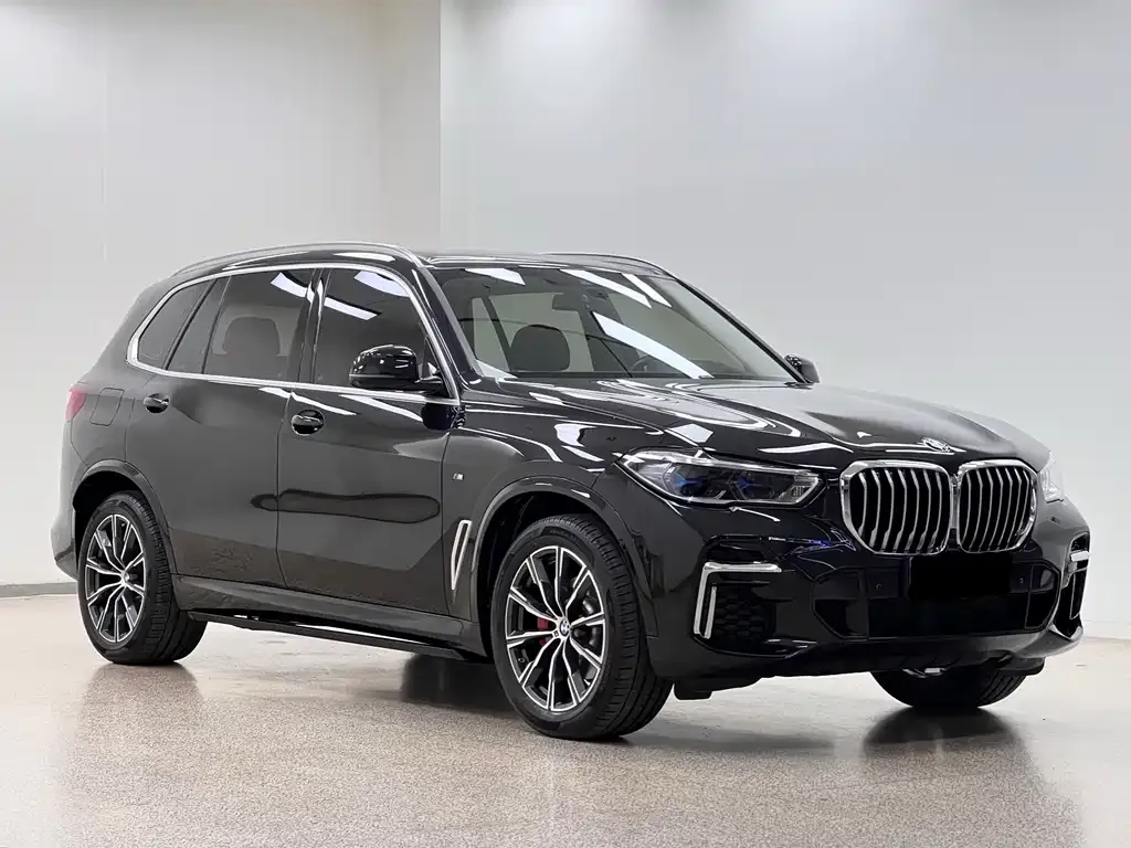 BMW X5 — фото 10