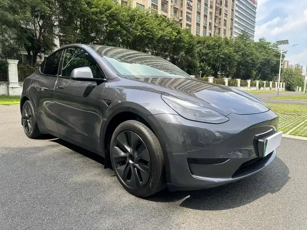 Tesla Model Y — фото 6