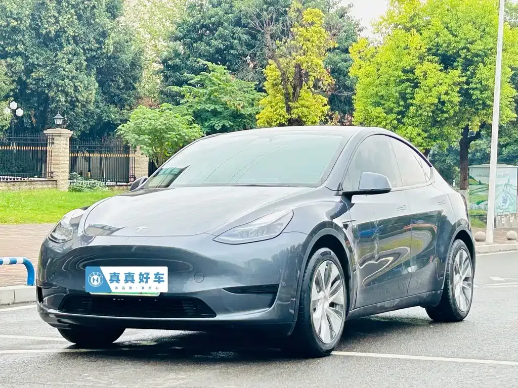 Tesla Model Y — фото 1