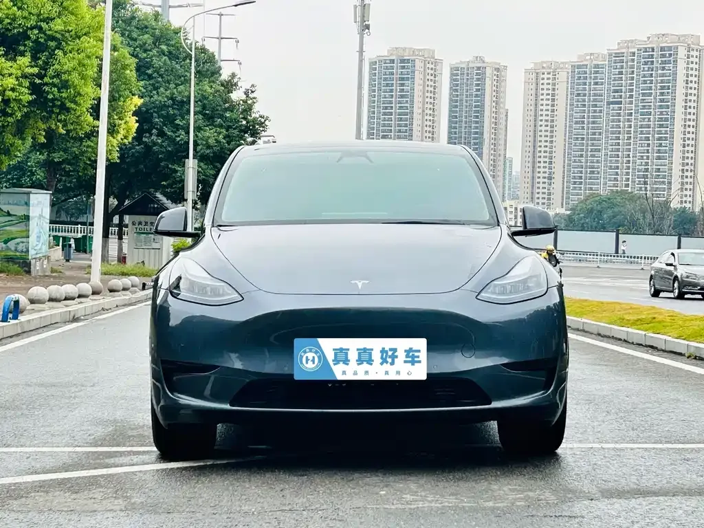Tesla Model Y — фото 9