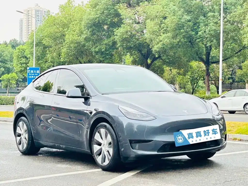 Tesla Model Y — фото 6
