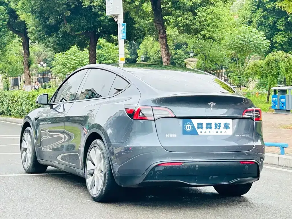 Tesla Model Y — фото 8