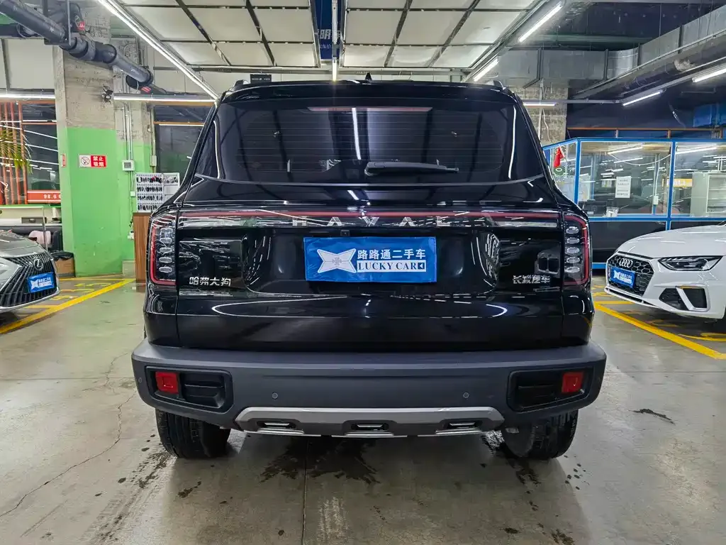 Haval Big Dog — фото 5