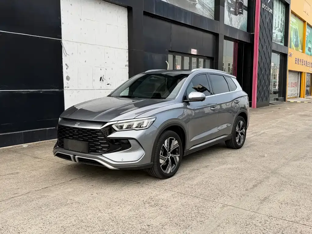 BYD Pro New Energy — фото 1