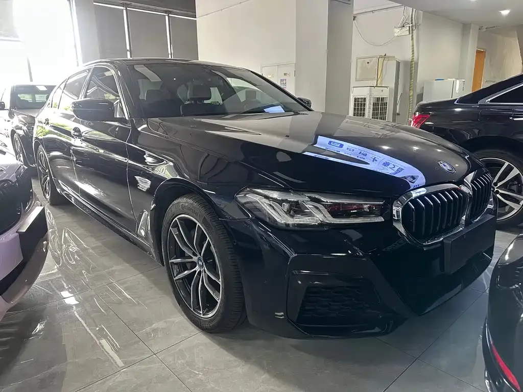 BMW 5 Series New Energy — фото 9
