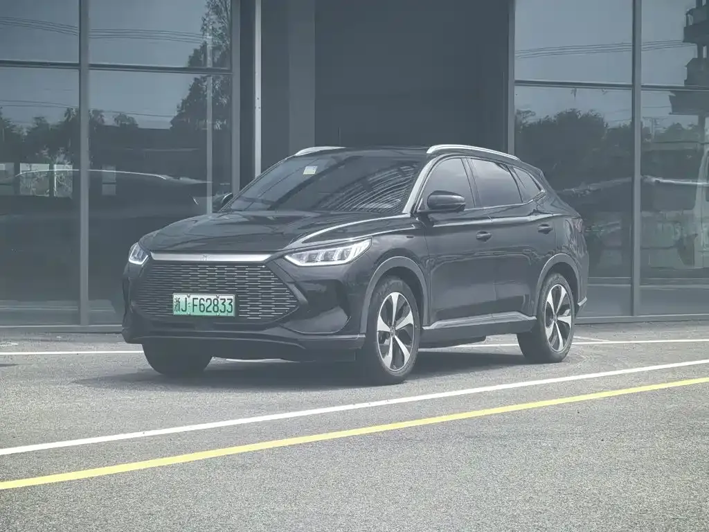 BYD PLUS New Energy — фото 1