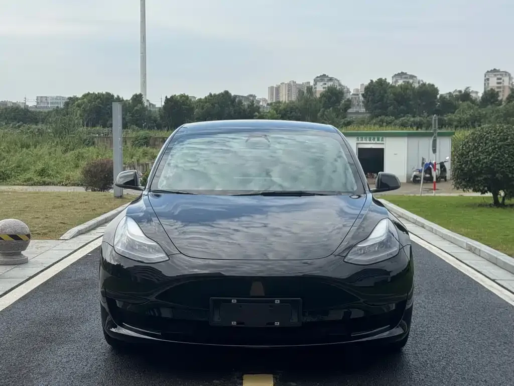 Tesla Model 3 — фото 2