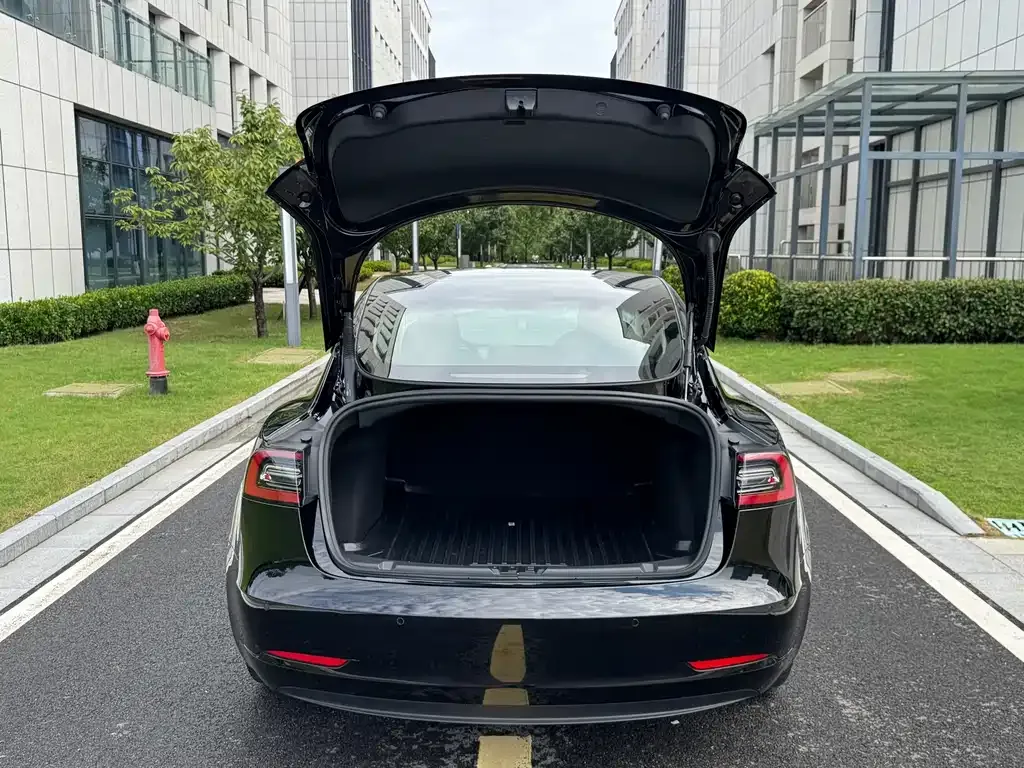 Tesla Model 3 — фото 3