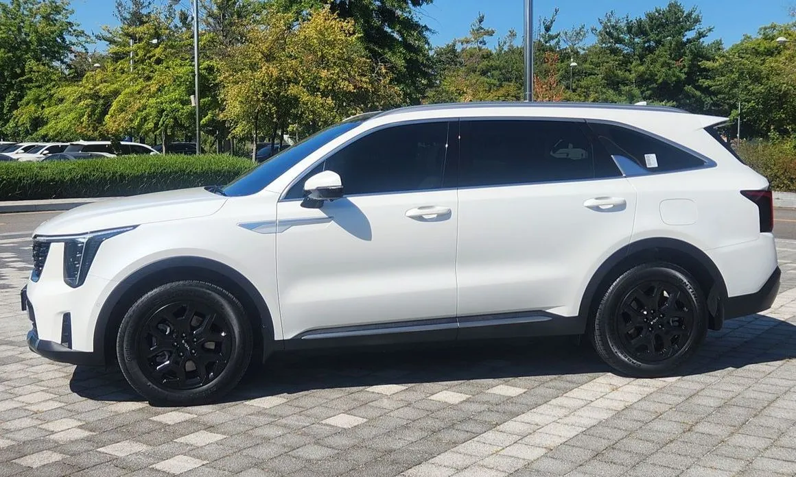 Kia Sorento — фото 10