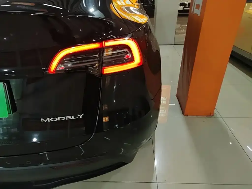 Tesla Model Y — фото 3