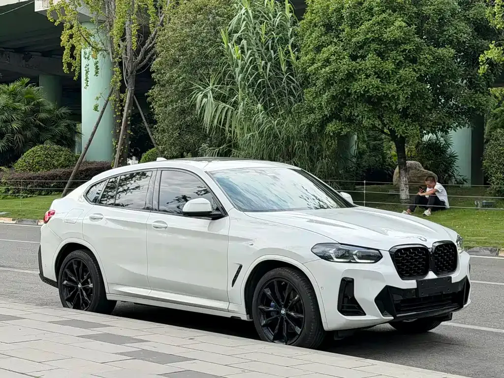 BMW X4 — фото 10