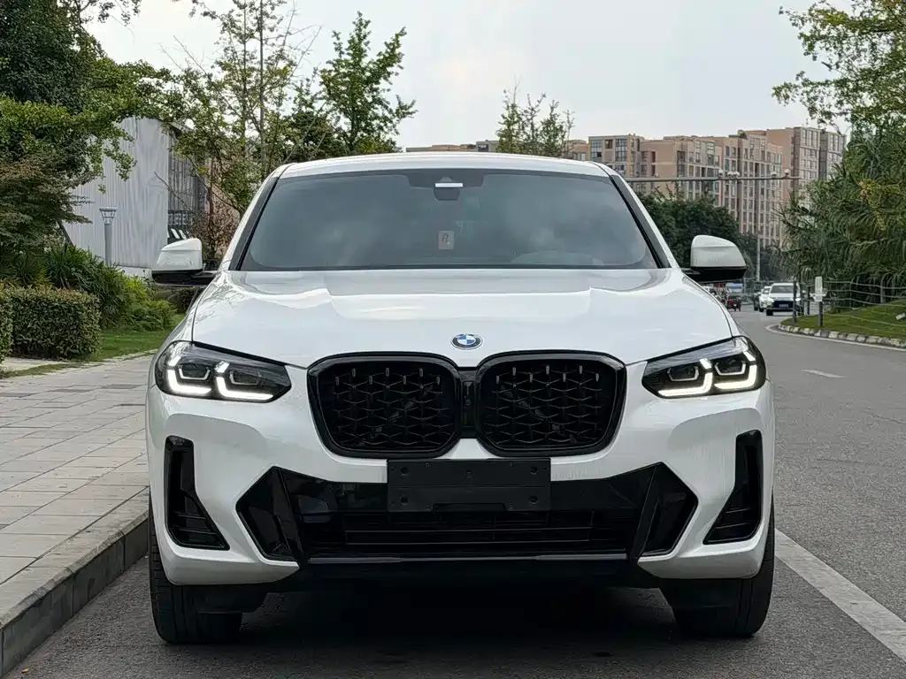 BMW X4 — фото 9