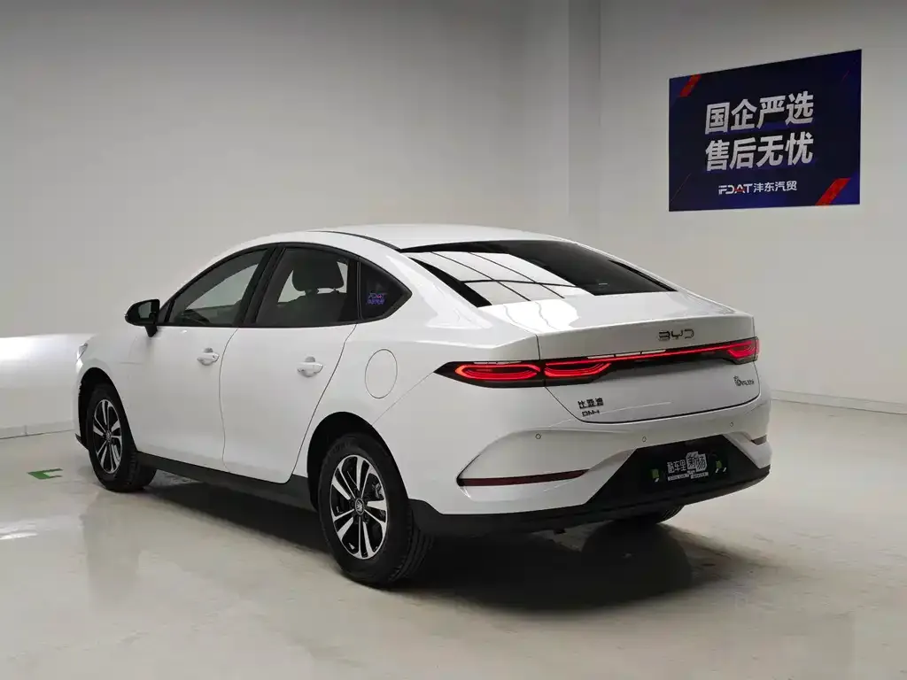 BYD Qin PLUS — фото 6