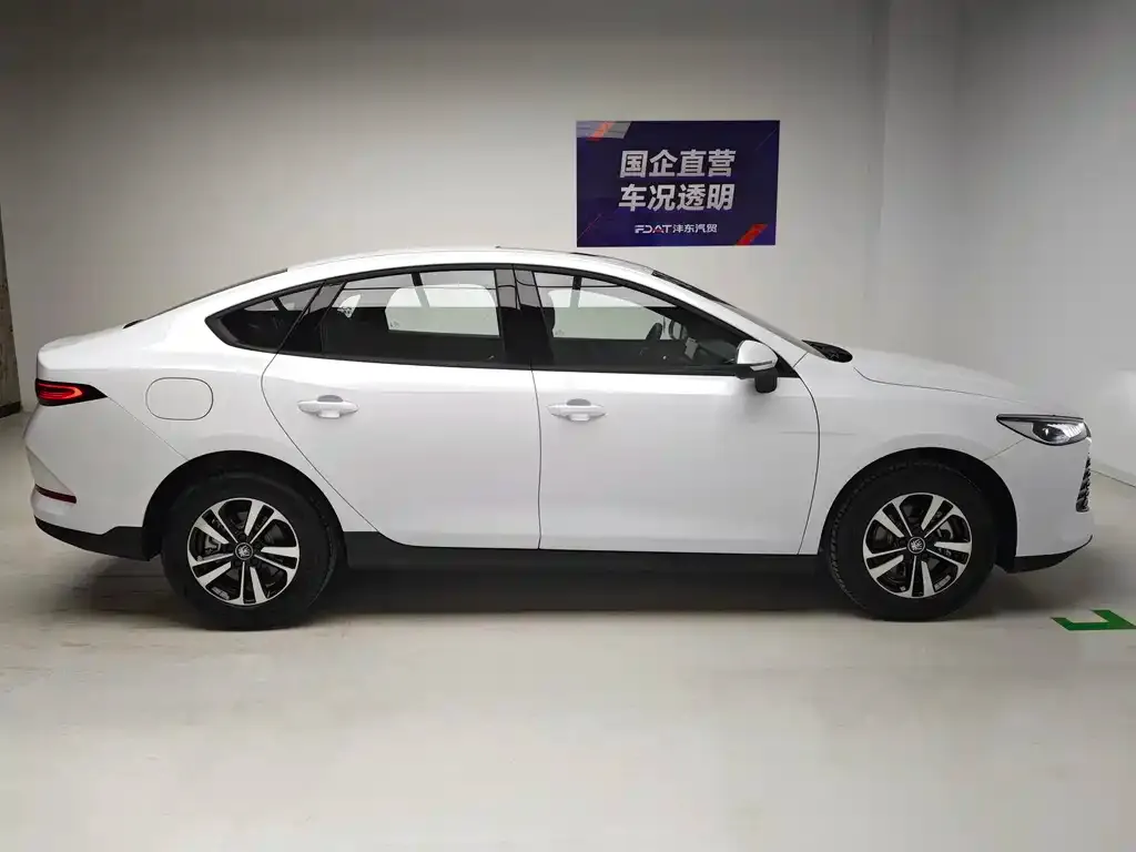 BYD Qin PLUS — фото 5