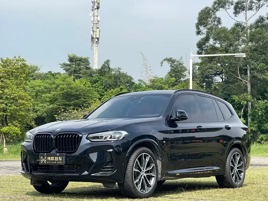 BMW X3 — фото 1