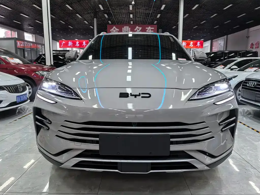 BYD PLUS New Energy — фото 4