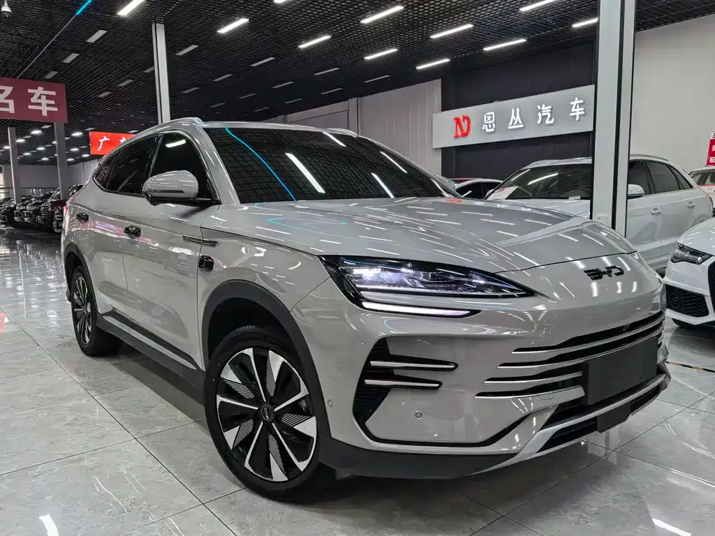 BYD PLUS New Energy — фото 6