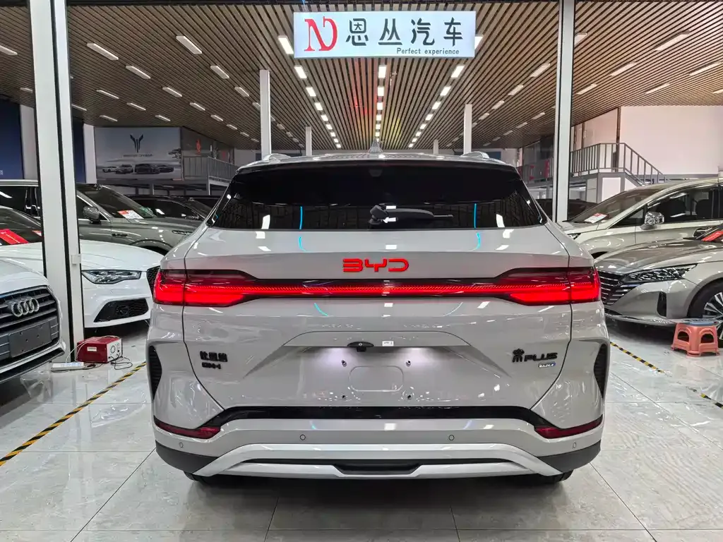 BYD PLUS New Energy — фото 3