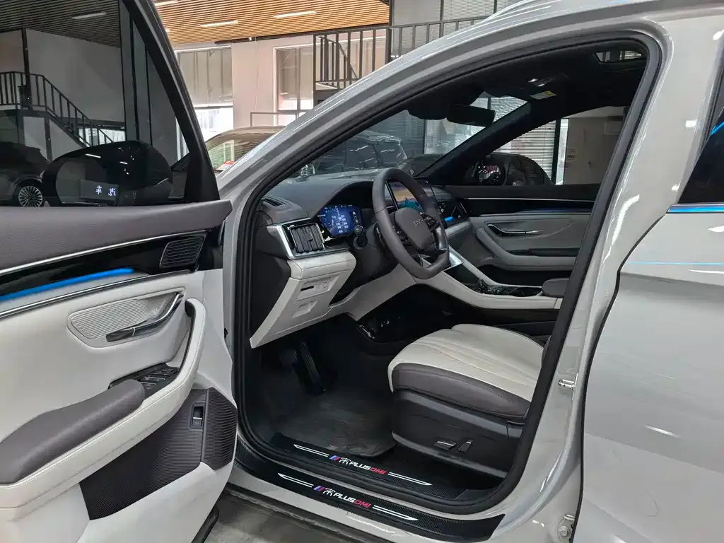 BYD PLUS New Energy — фото 8