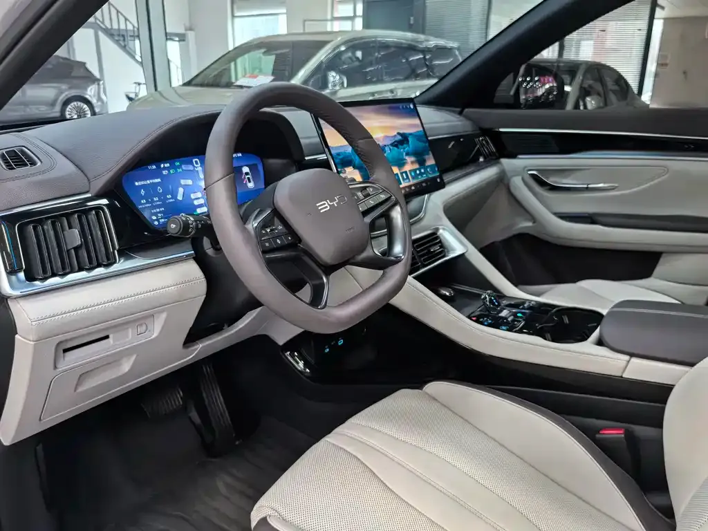 BYD PLUS New Energy — фото 10