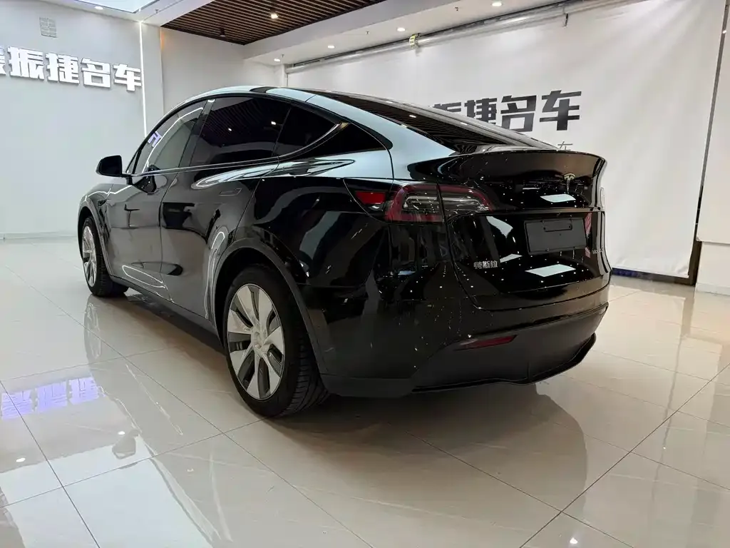 Tesla Model Y — фото 8