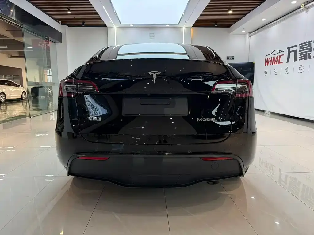 Tesla Model Y — фото 10