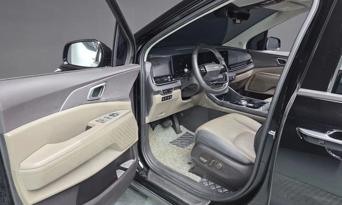 Kia Carnival — фото 10