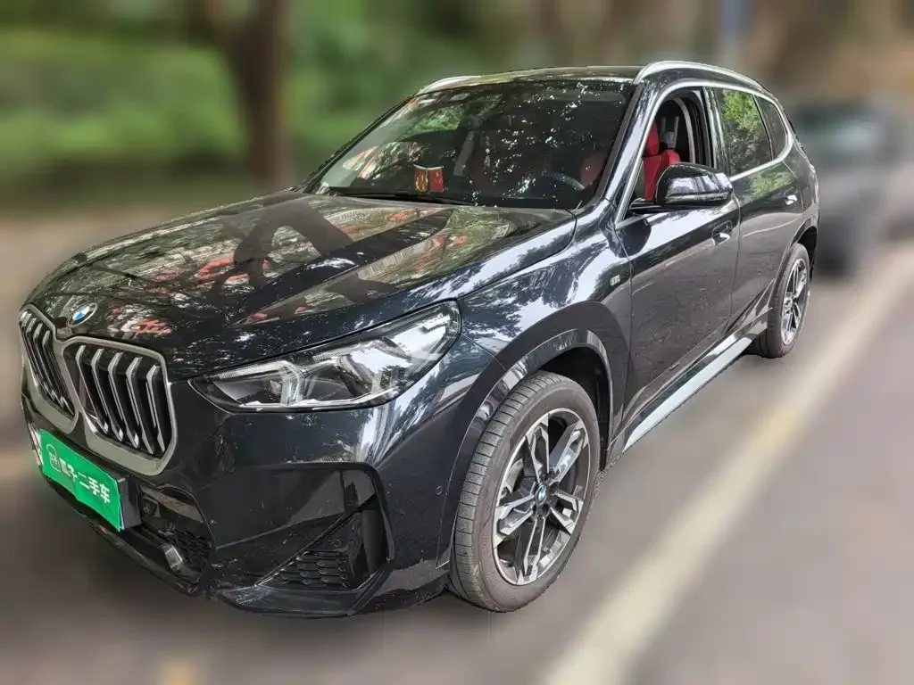 BMW X1 — фото 1
