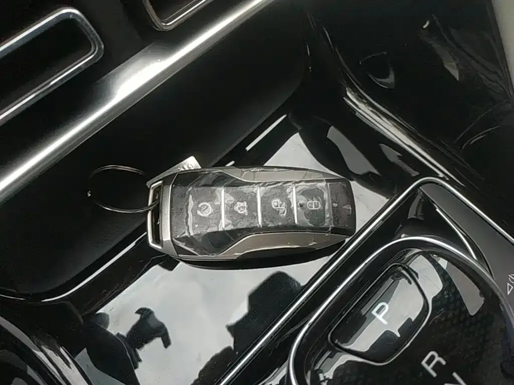 BYD PLUS New Energy — фото 7
