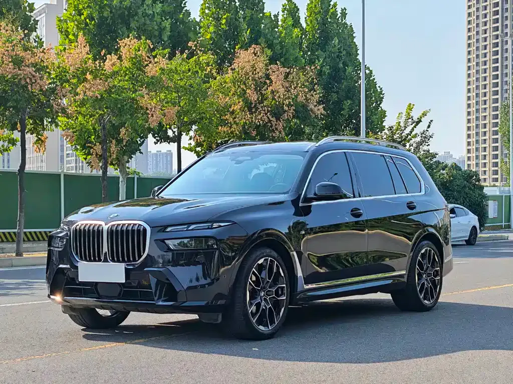 BMW X7 — фото 1